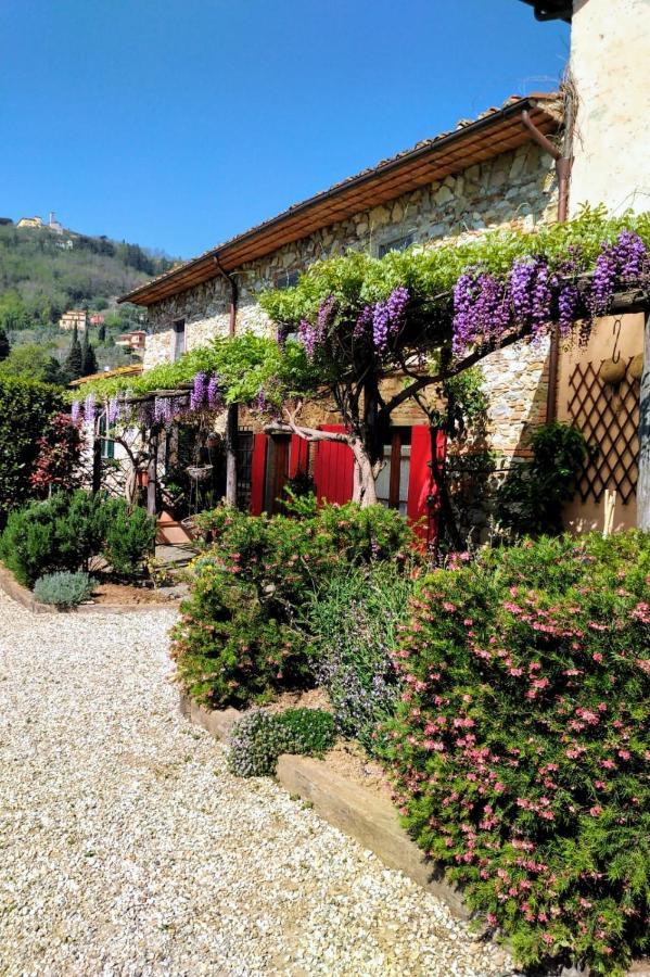La Corte del Falco Pieve a Nievole Exterior foto