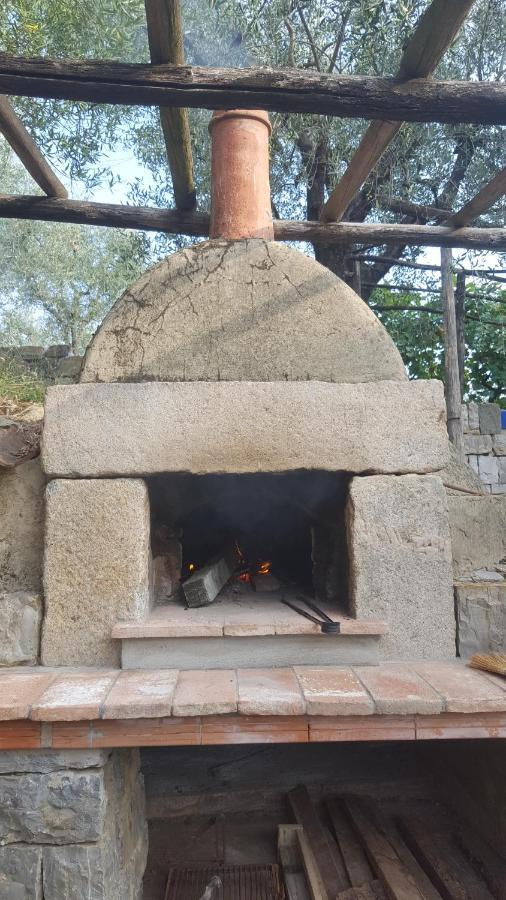 La Corte del Falco Pieve a Nievole Exterior foto